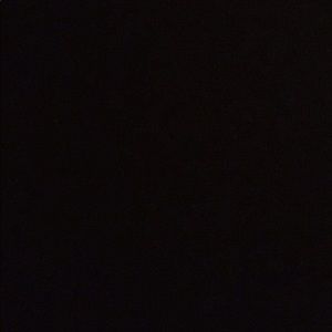 Meet your Posher, Beatrice